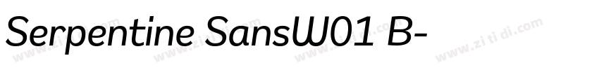 Serpentine SansW01 B字体转换